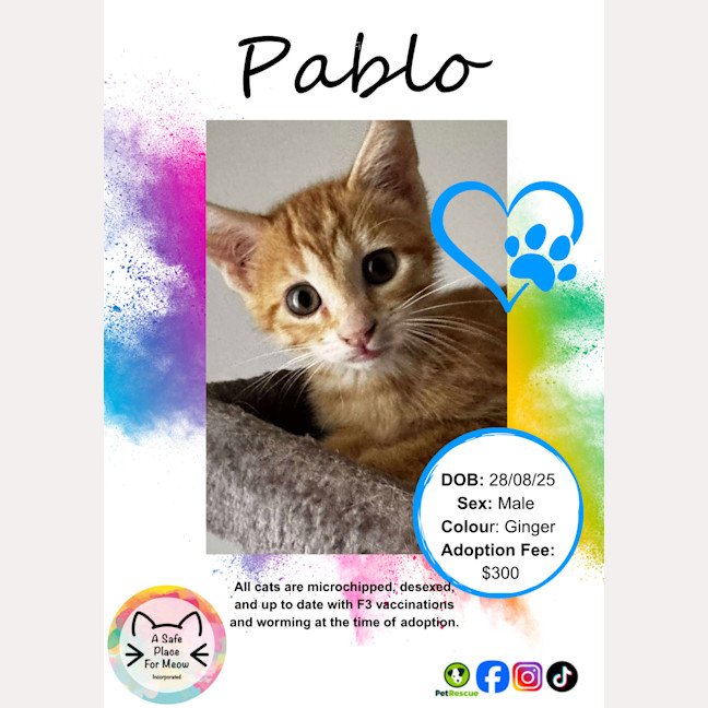 Photo of Pablo
