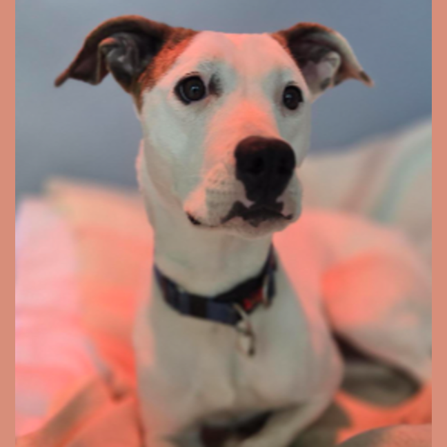 Photo of Jasmine