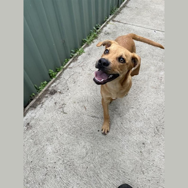 Photo of Roo