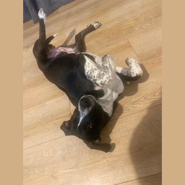 Photo of Daisy