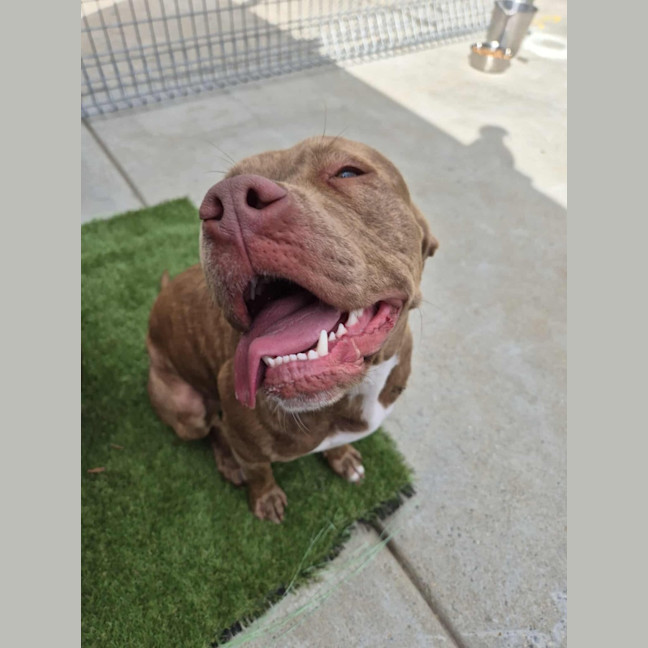 Photo of Meggie 💜