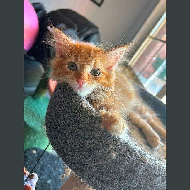 Photo of Theo
