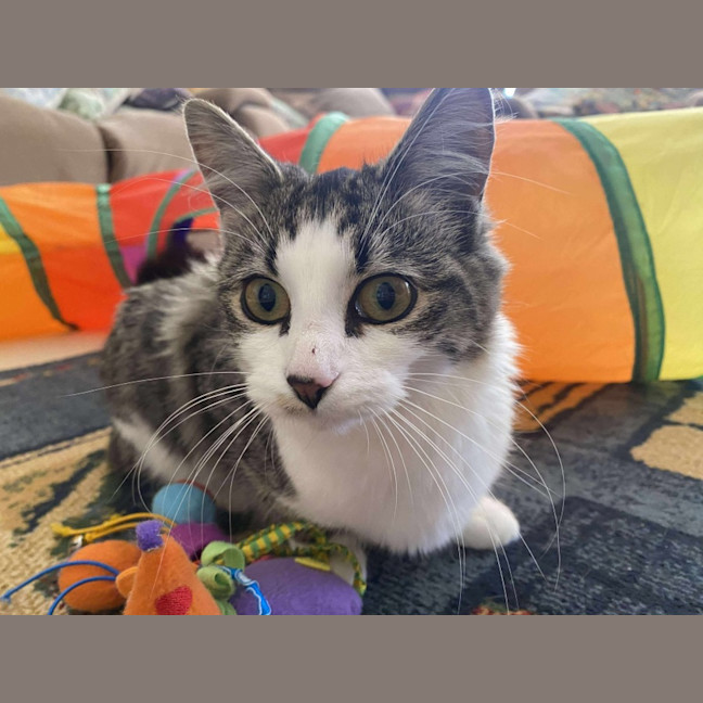 Photo of Mabel 