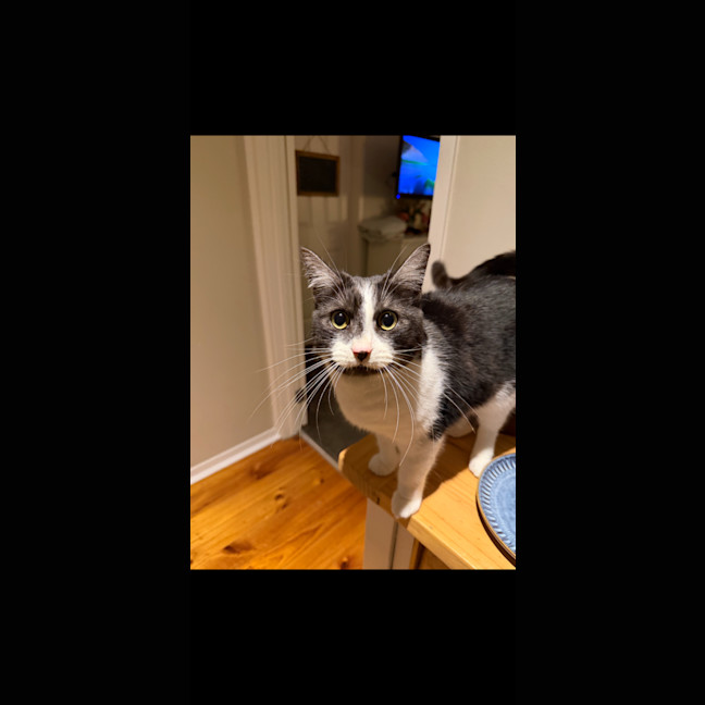 Photo of Deezel