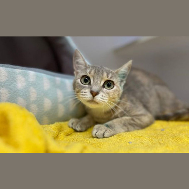 Photo of Rena