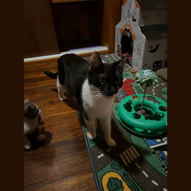 Photo of Mo