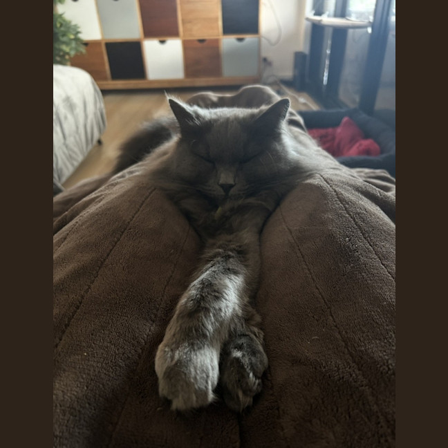 Photo of 💙 Harry 💙