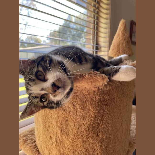 Photo of Ernie