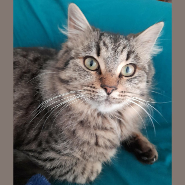 Photo of Etta