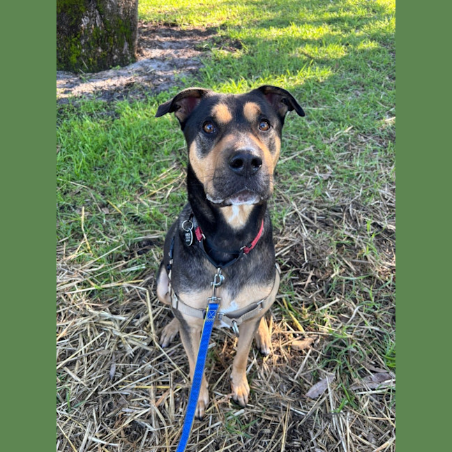 Photo of Tex 