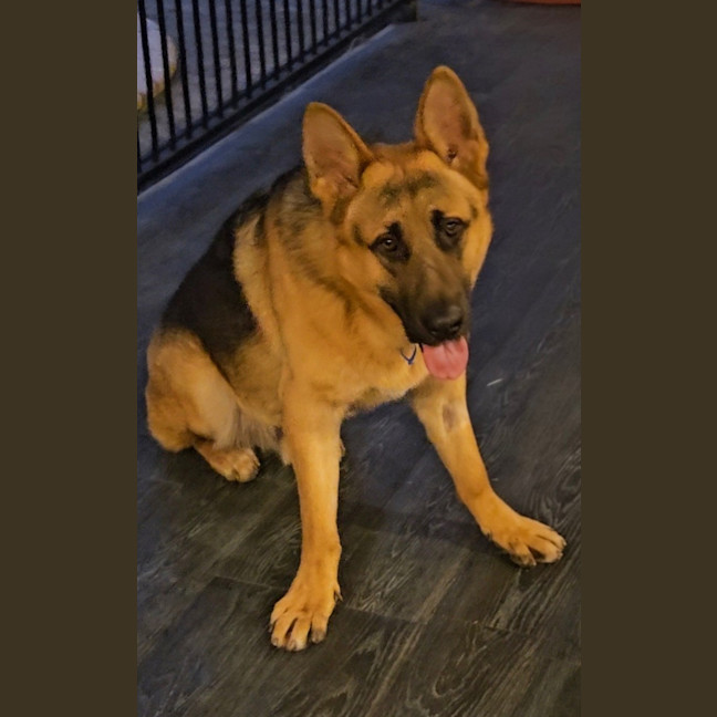 Photo of Jericho