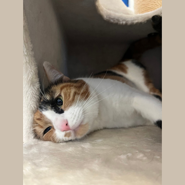 Photo of Hazel