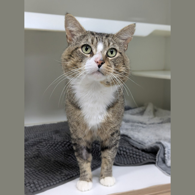 Photo of 😽 Jerome 6752 😽