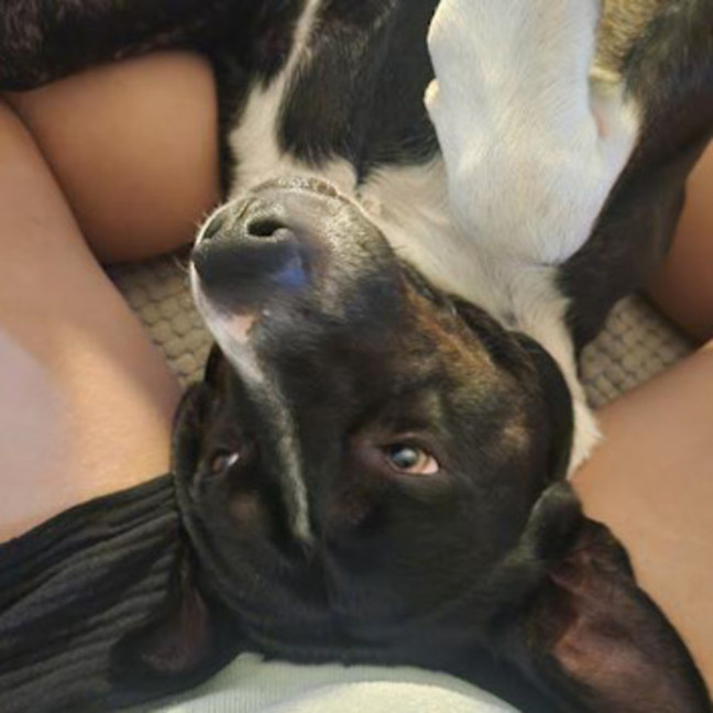 Photo of Oxy