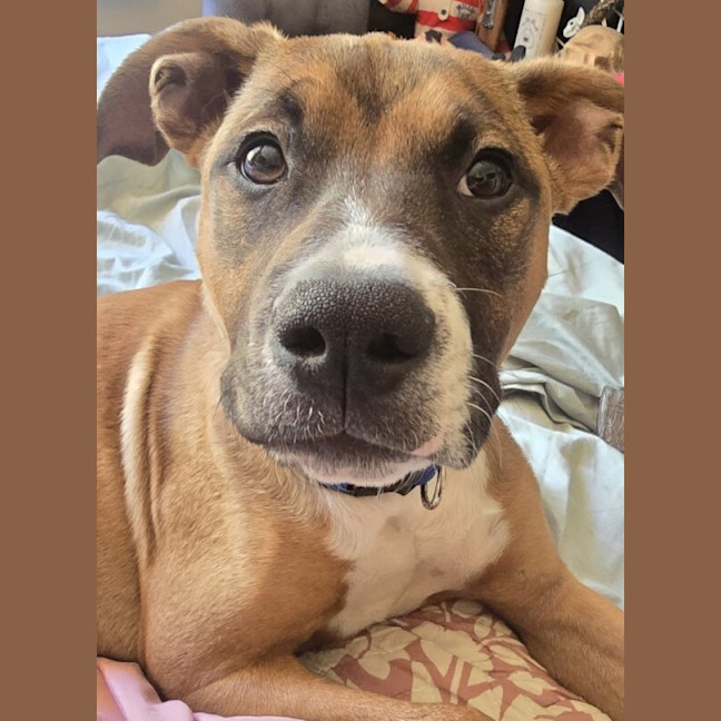 Photo of Maisy