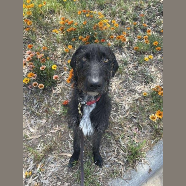 Photo of Roxy Peggotty