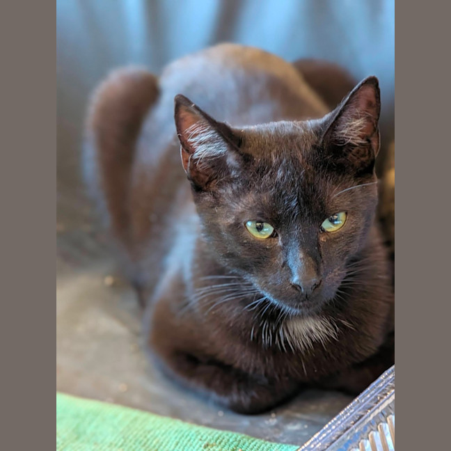 Photo of Xenon