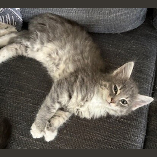 Photo of Aphmau