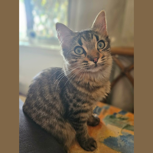 Photo of Kiara
