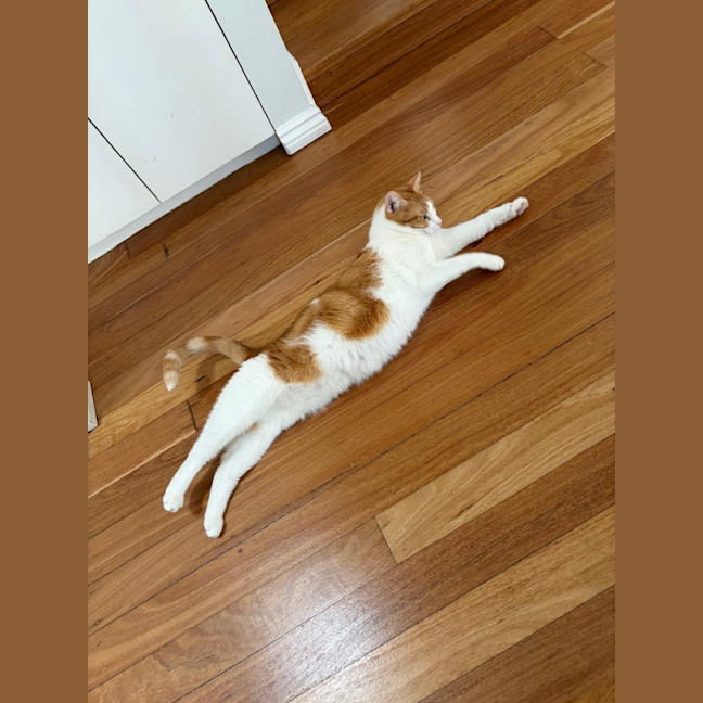 Photo of Ari