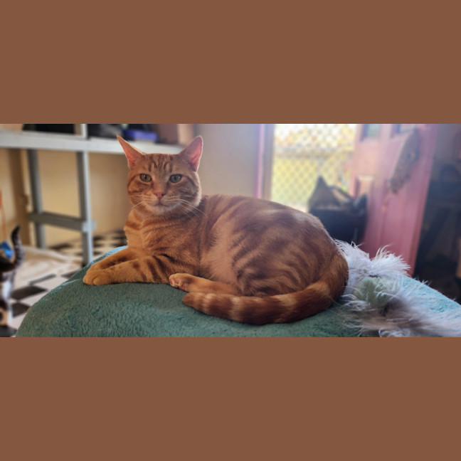 Photo of Gary & Chip   Your Best Friends 