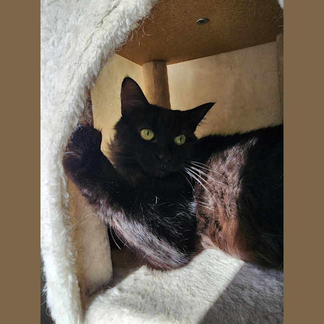 Photo of 🍓 Miriam 5923 🍓