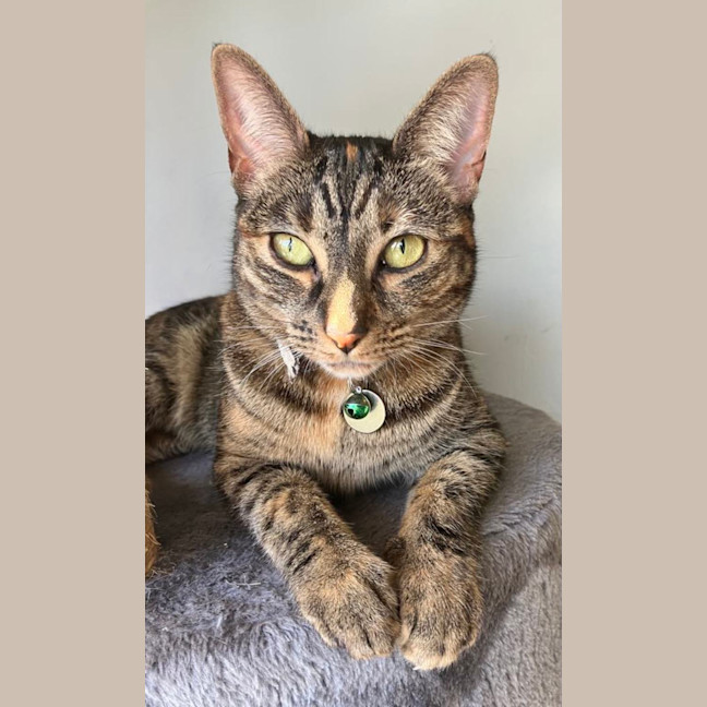 Photo of Jill