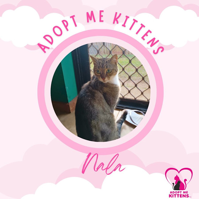 Photo of Nala