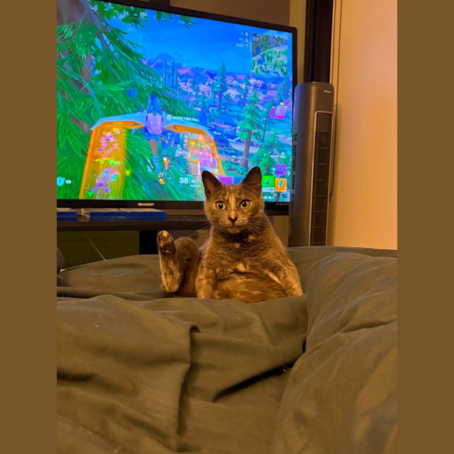 Photo of Luna