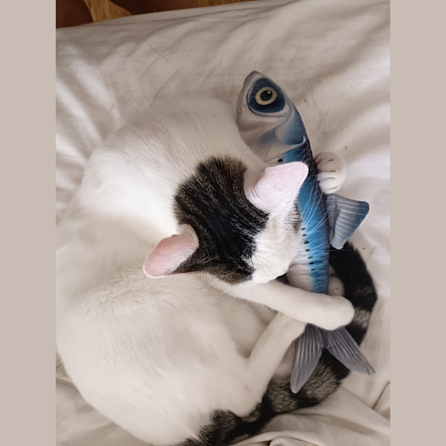 Photo of Stellar Slinky