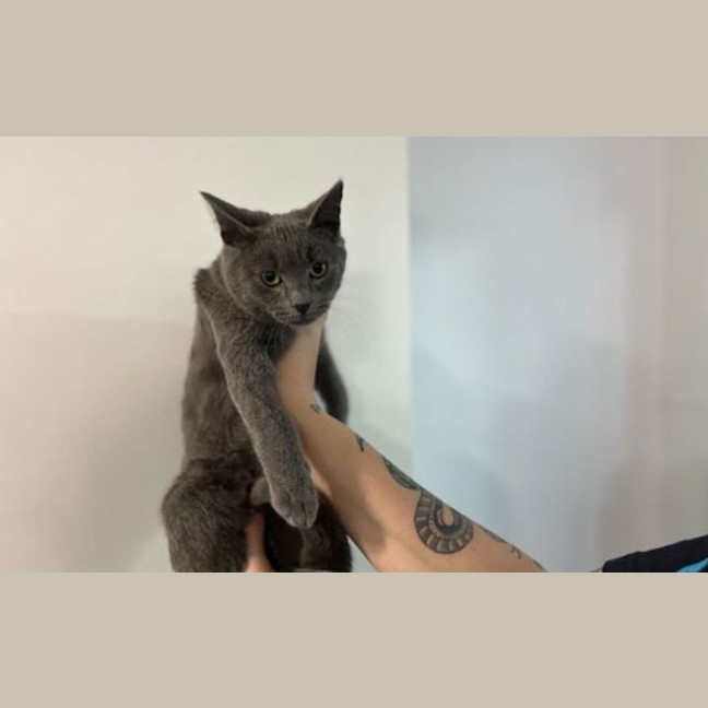 Photo of Tommy