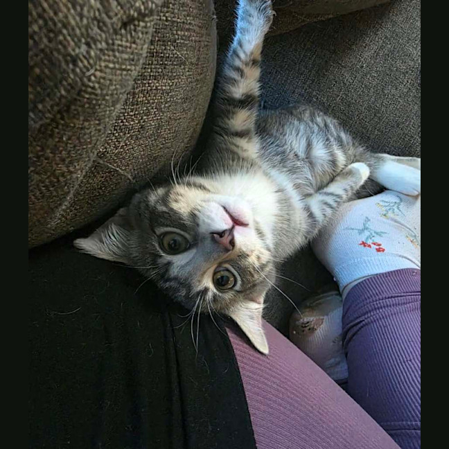 Photo of Jean Luc & Socks