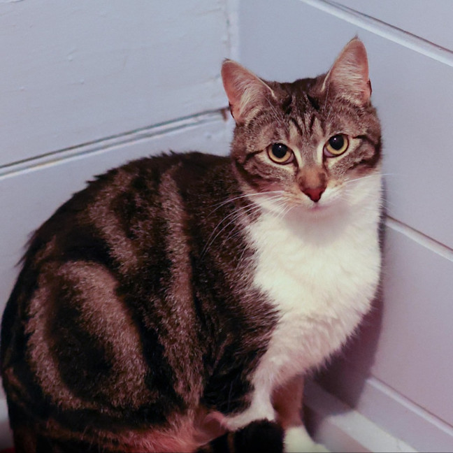 Photo of Winifred And Binx 