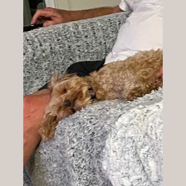 Photo of Sweet Little Faith