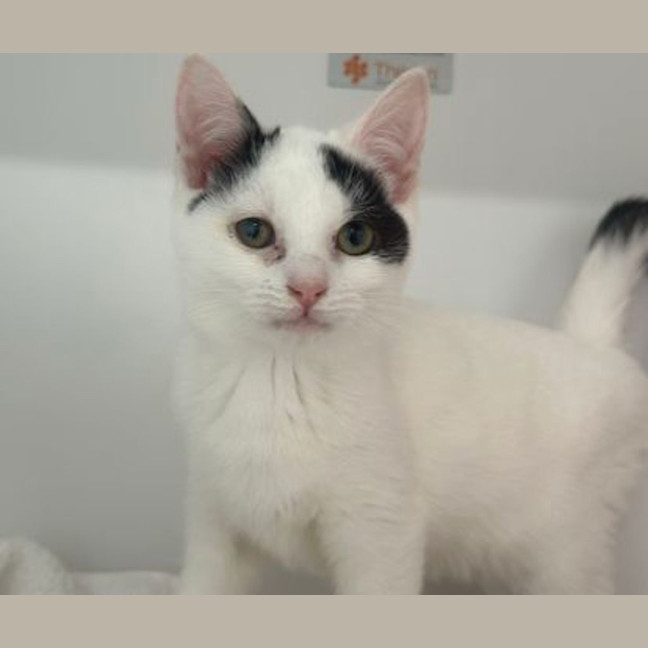 Photo of Elara