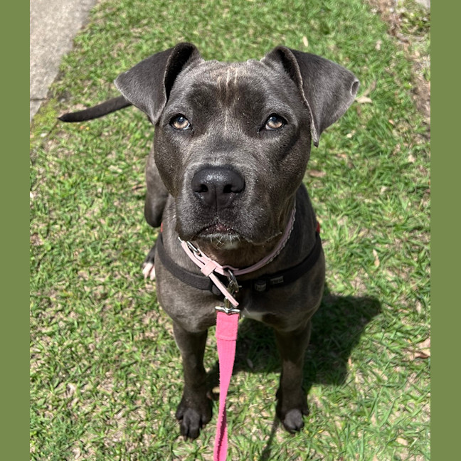 Photo of Storm