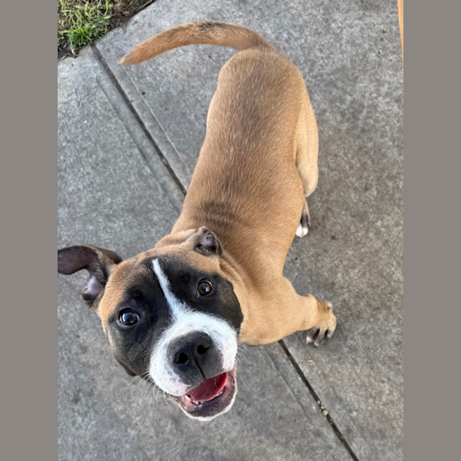 Photo of Frankie