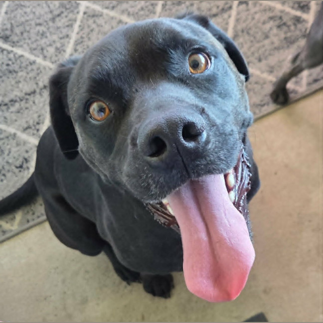 Photo of Zeus