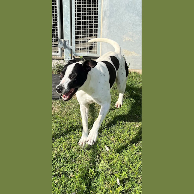 Photo of Bingo (4471)