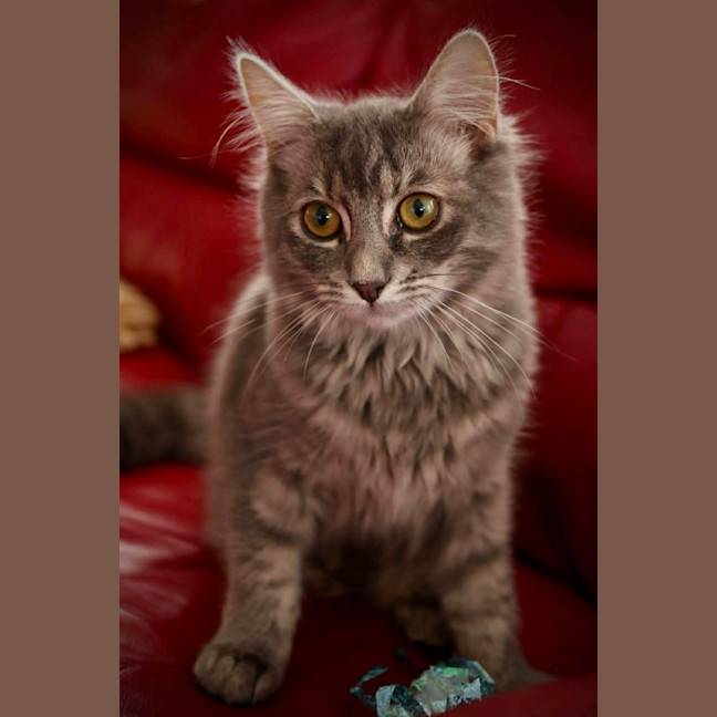 Photo of Lucy 