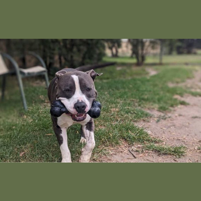 Photo of Dave