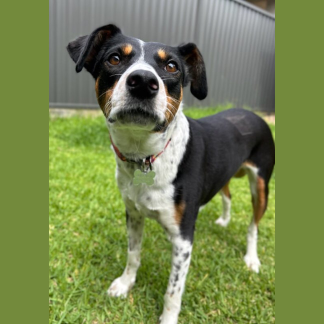 Photo of Eclair