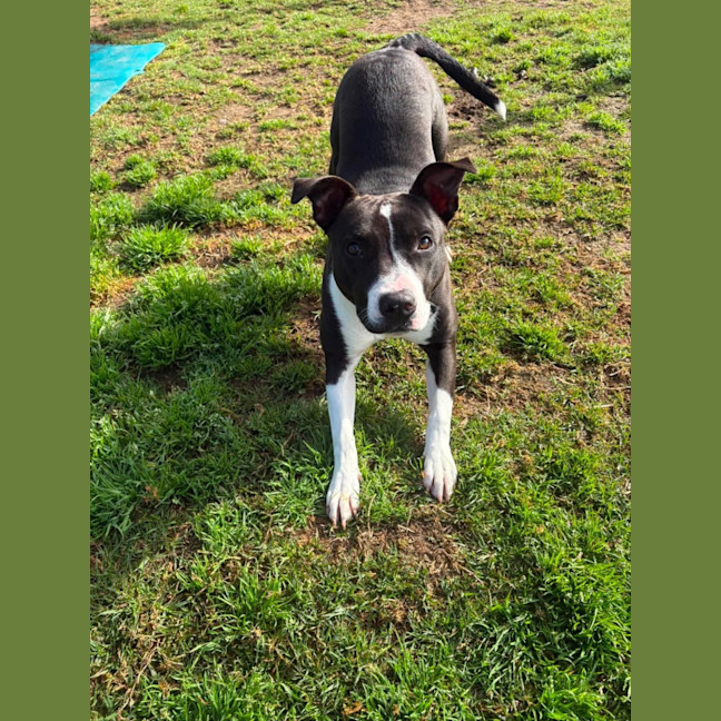 Photo of Molly Imp 1754