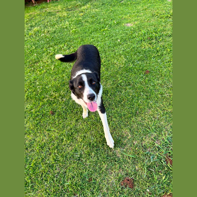 Photo of Bindi