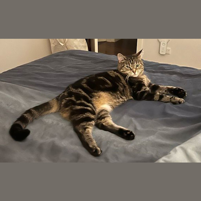 Photo of Gabby