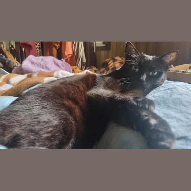 Photo of Mitzi
