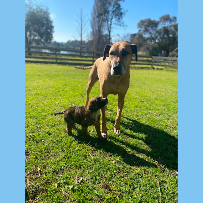 Photo of Dennis Reynolds 