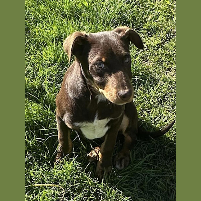 Photo of Skip