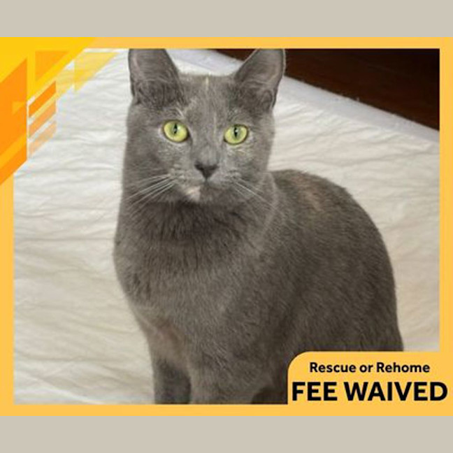 Photo of Wilma