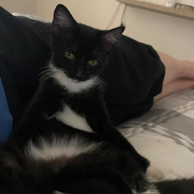 Photo of Sybil